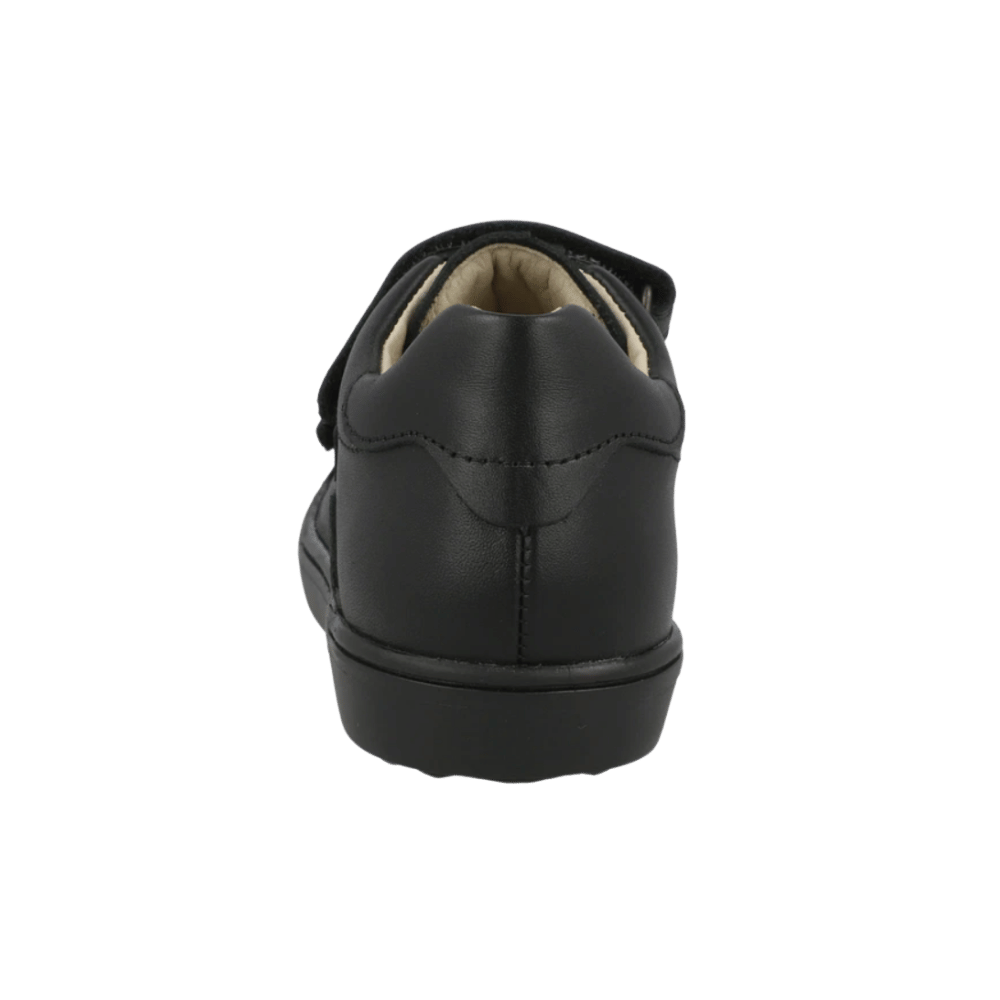 Froddo | Aster - G3130281 - Little Bigheads