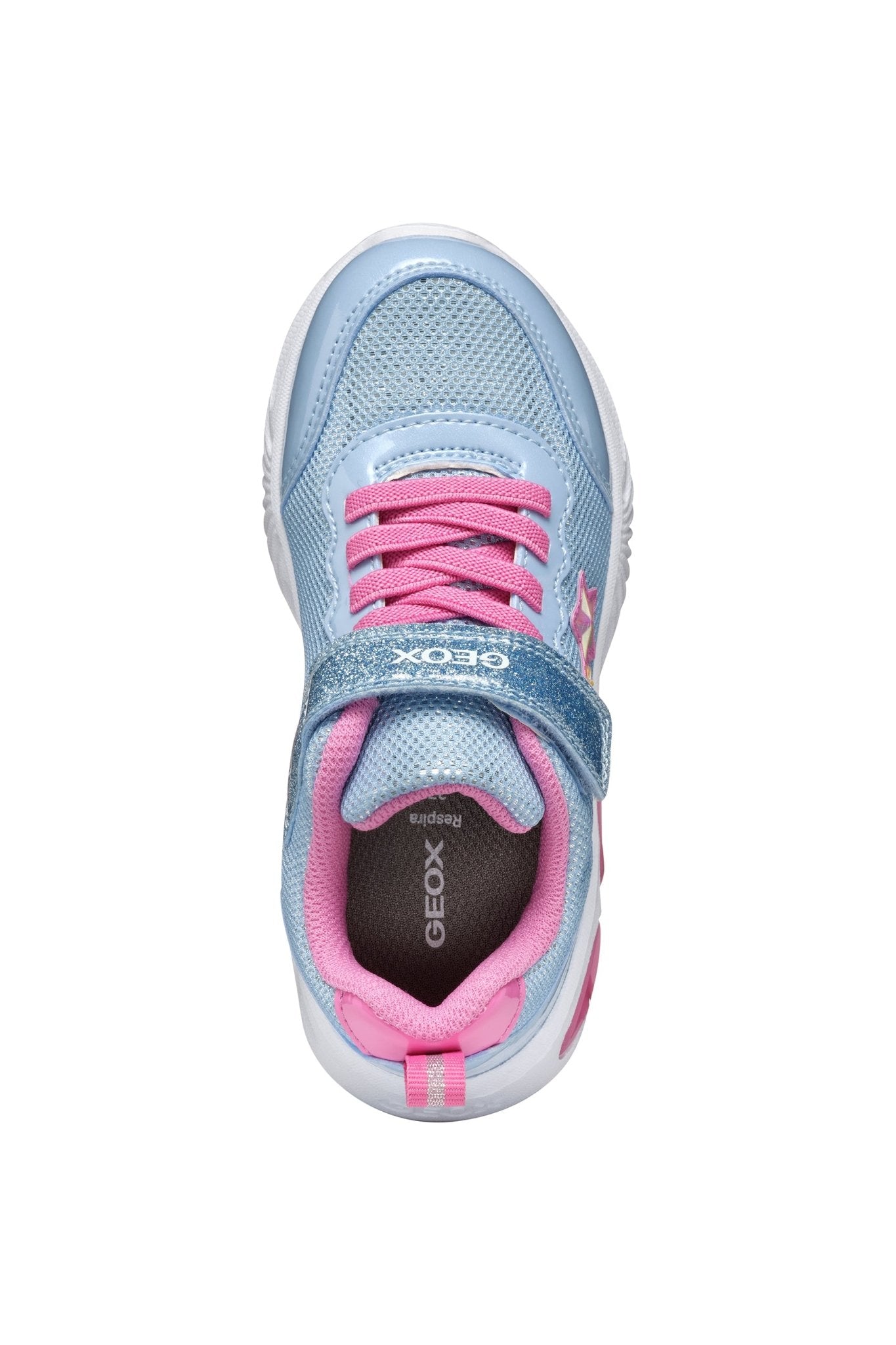 Geox | Assister girl | Sky/pink - Little Bigheads