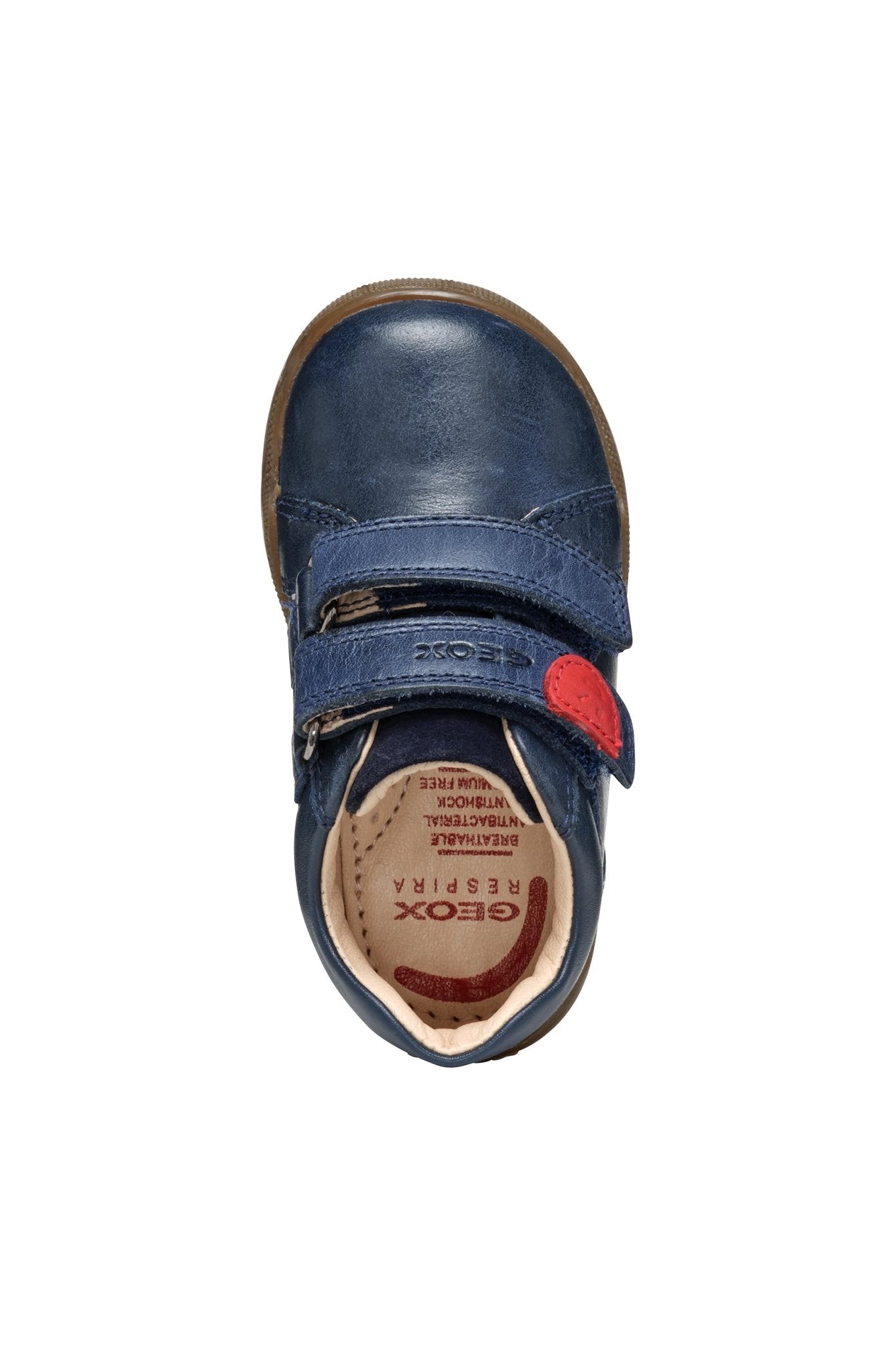 Geox - B Macchia Boy - Navy - Little Bigheads