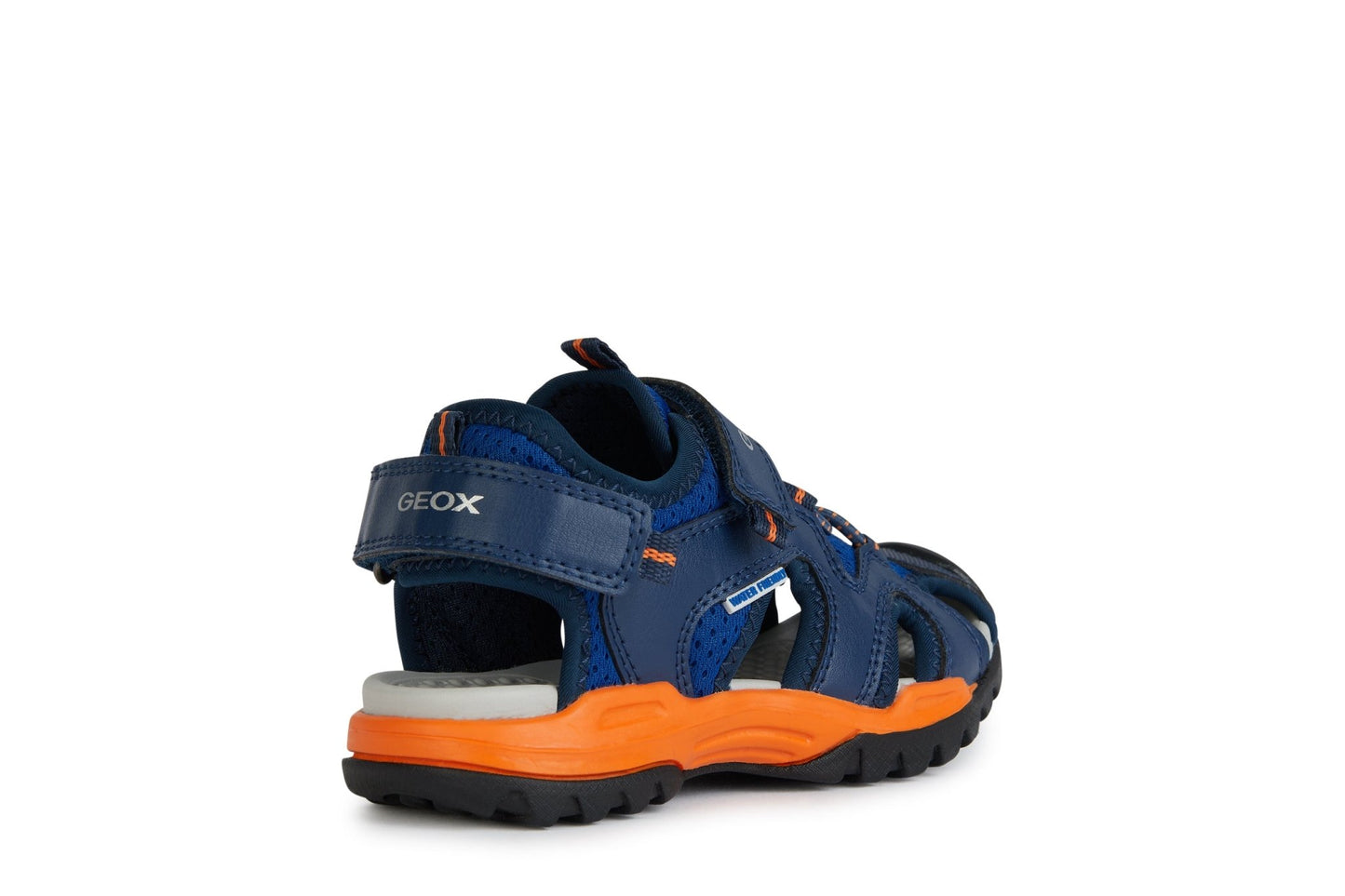Geox | Borealis Boy | Royal/Orange - Little Bigheads