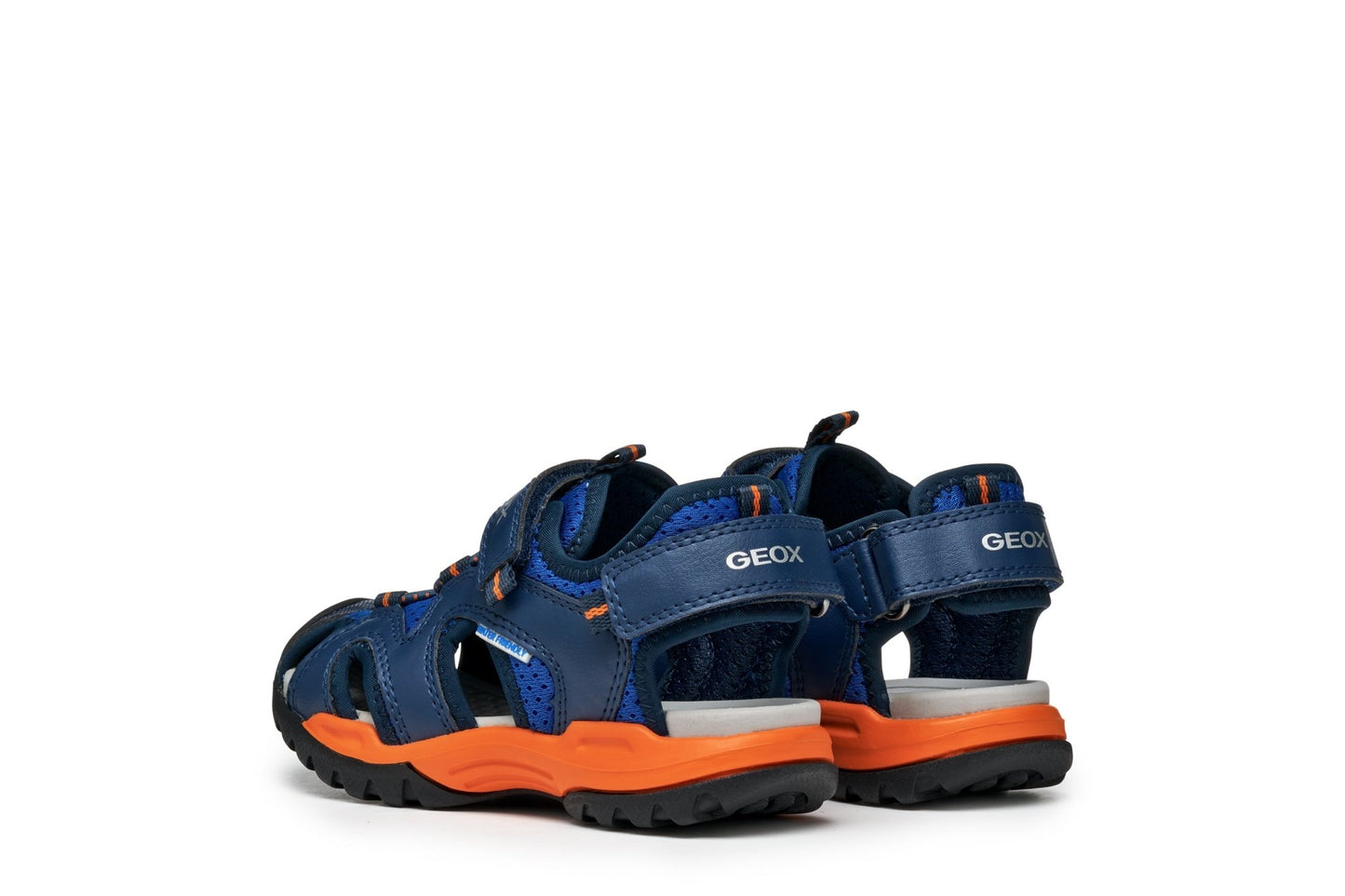 Geox | Borealis Boy | Royal/Orange - Little Bigheads