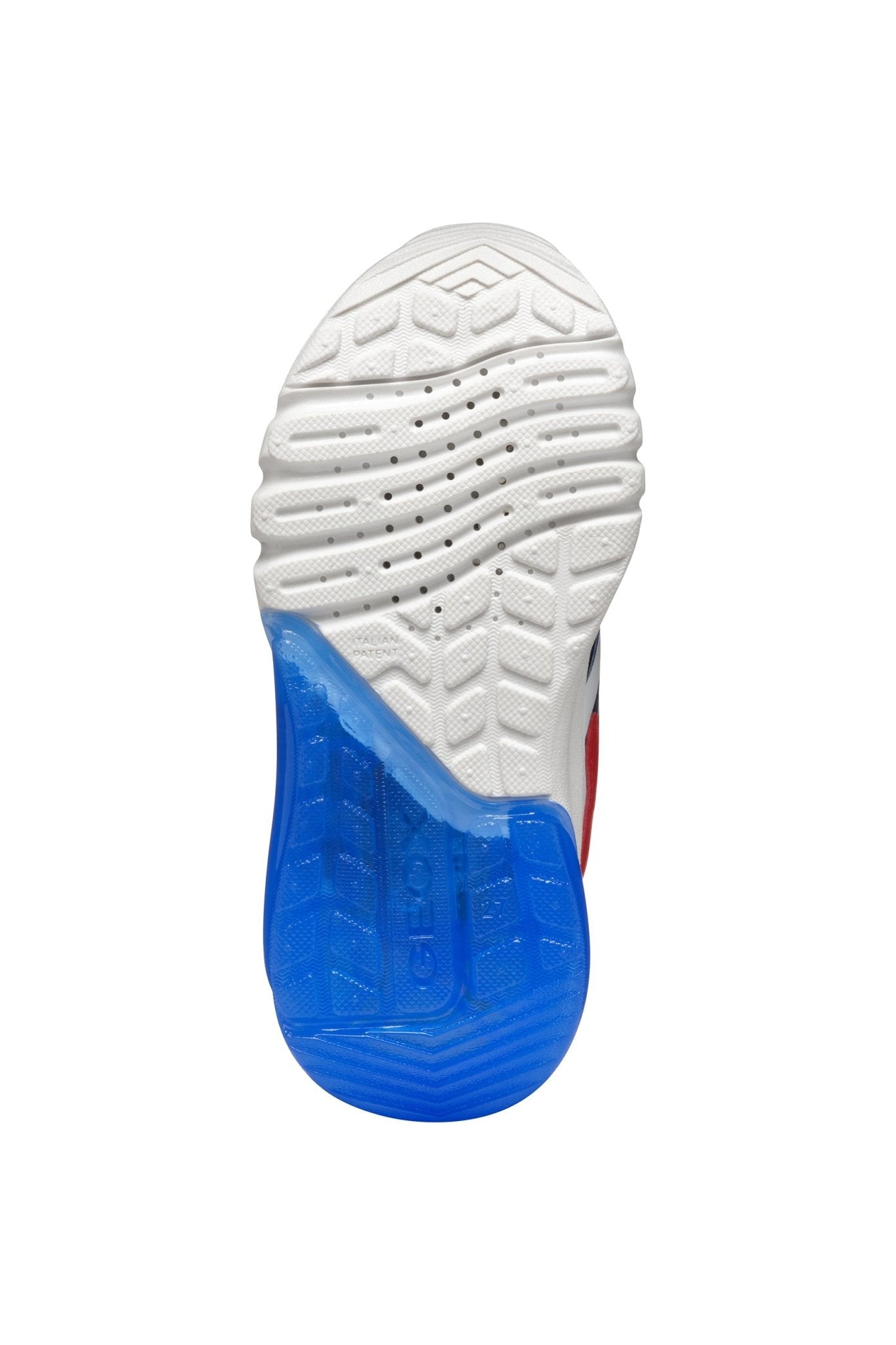 Geox | Ciberdron Boy |Royal Blue/Red - Little Bigheads