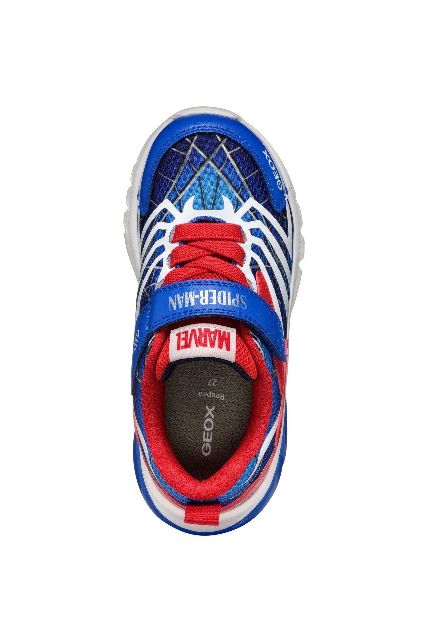 Geox | Ciberdron Boy |Royal Blue/Red - Little Bigheads