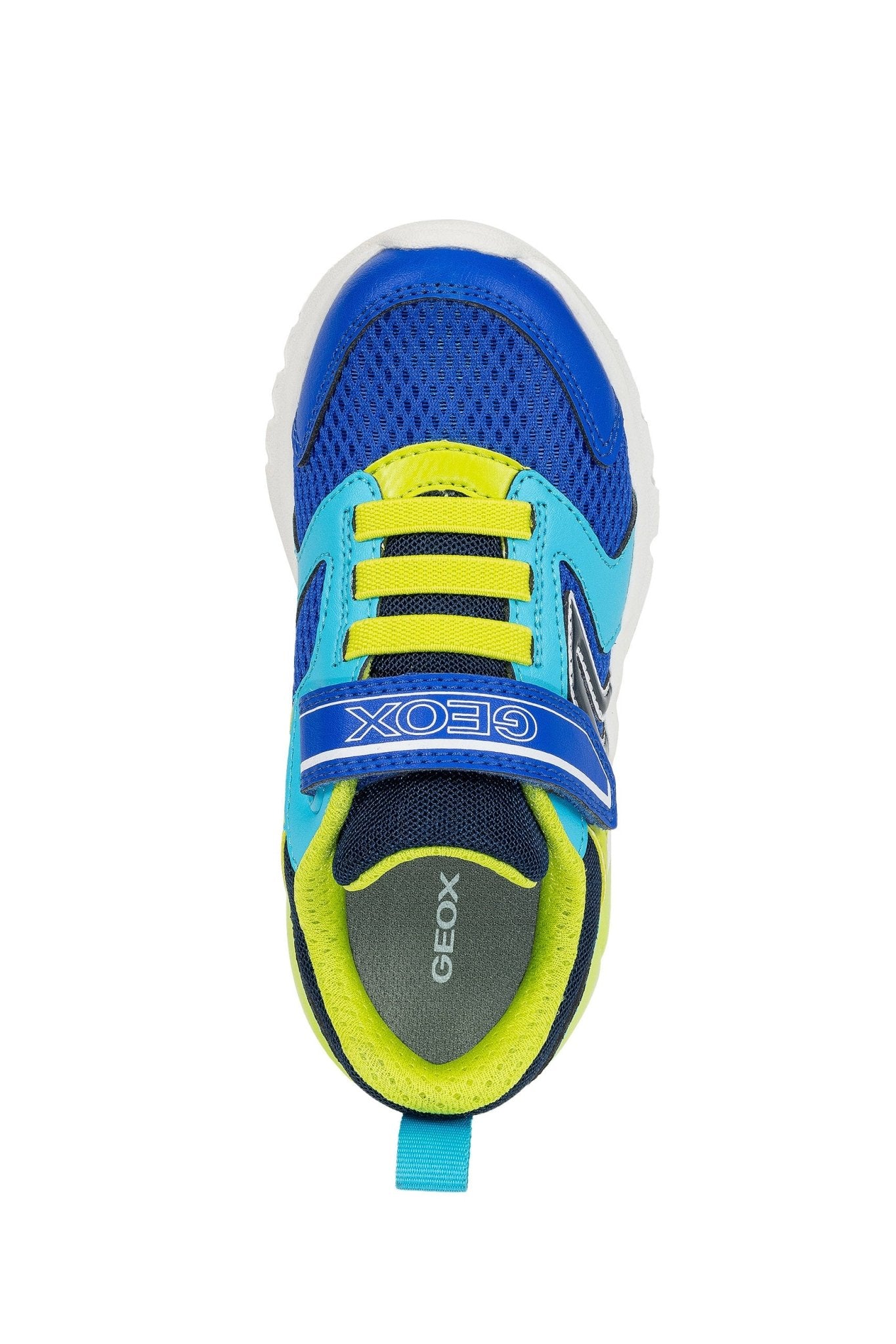 Geox | Ciberdron Boy | Royal/Lime - Little Bigheads