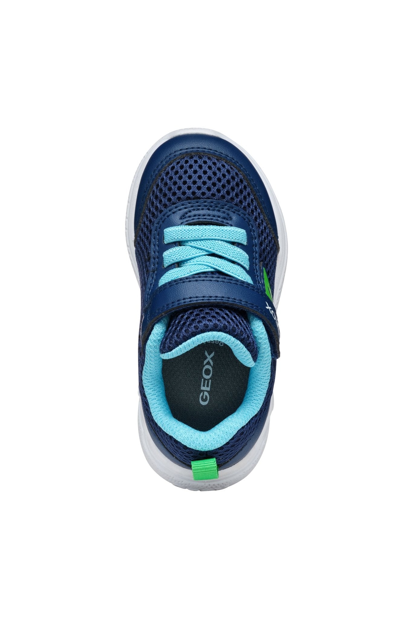 Geox | Sprintye boy | Navy/light green - Little Bigheads