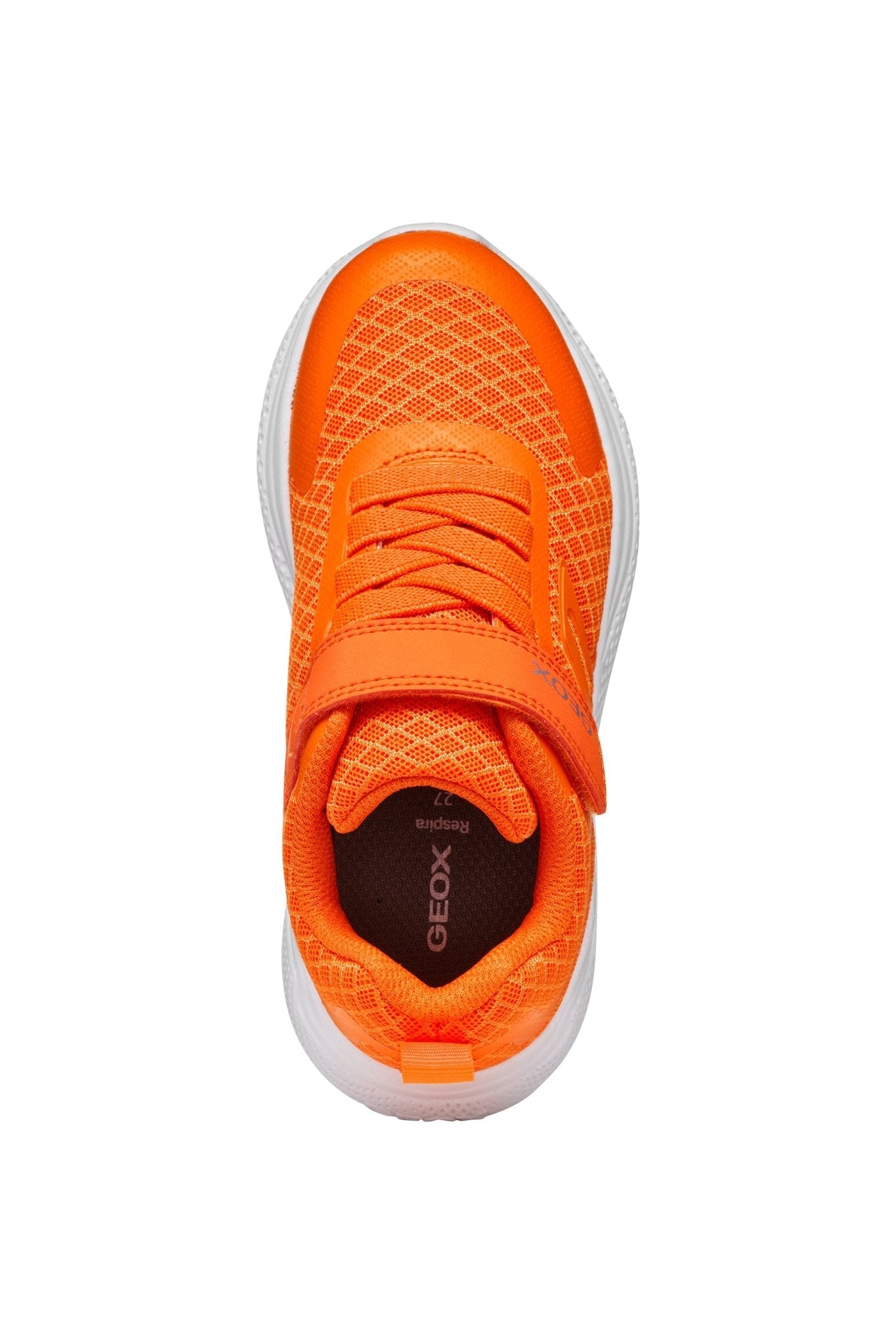 Geox | Sprintye boy | Orange - Little Bigheads