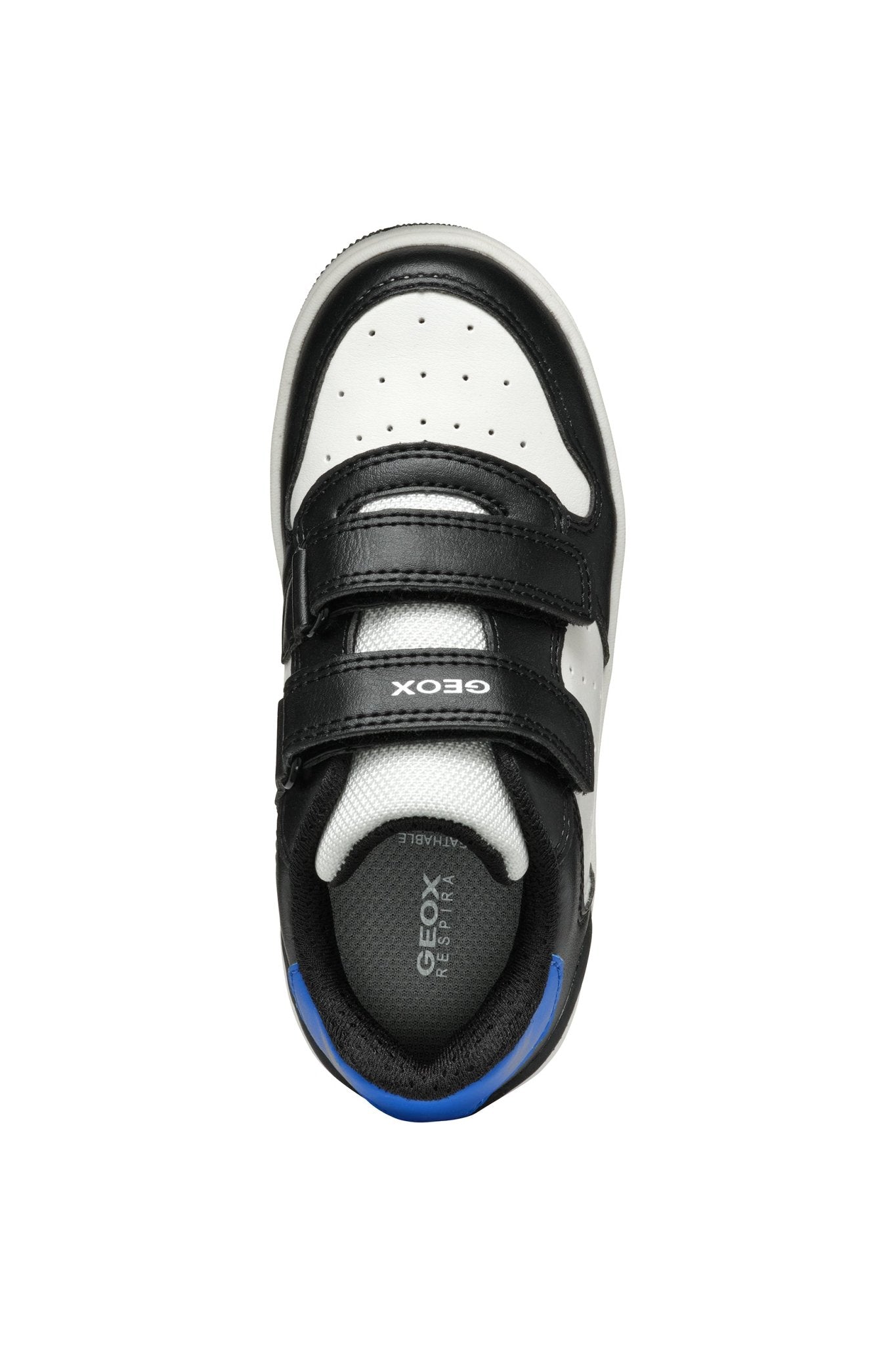 Geox | Washiba Boy | Black/Royal Blue - Little Bigheads