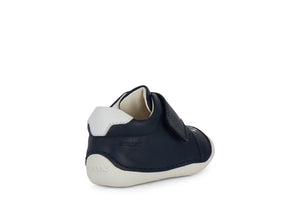 Geox B Tutim - Navy - Little Bigheads