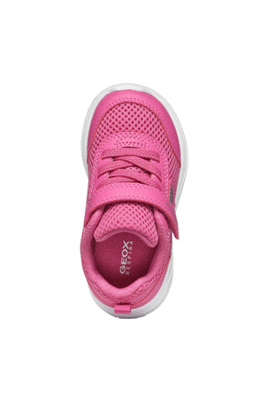 Geox Sprintye Baby - Fuchsia - Little Bigheads