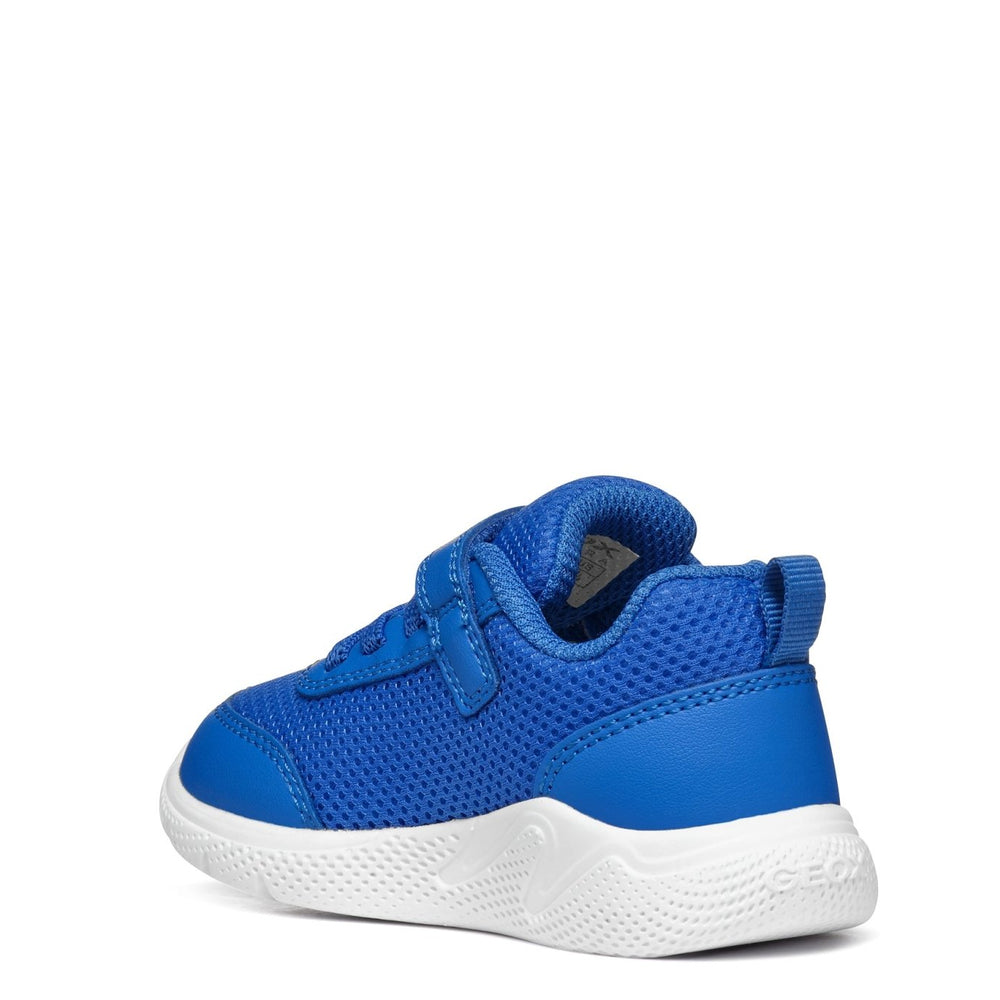 
                  
                    Geox Sprintye Baby - Royal - Little Bigheads
                  
                