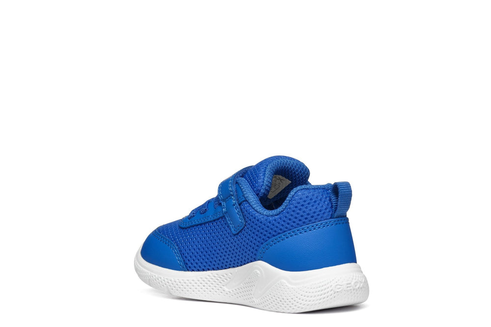 Geox Sprintye Baby - Royal - Little Bigheads