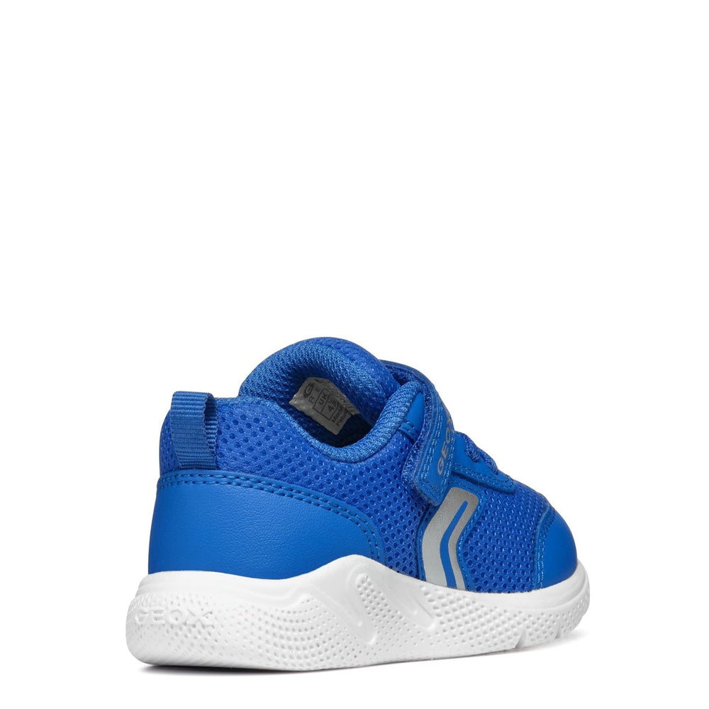 
                  
                    Geox Sprintye Baby - Royal - Little Bigheads
                  
                