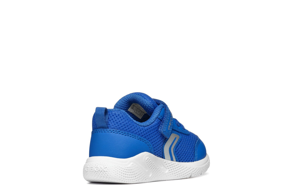 Geox Sprintye Baby - Royal - Little Bigheads