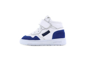 Shoesme Basket Sneaker - White/Blue - Little Bigheads