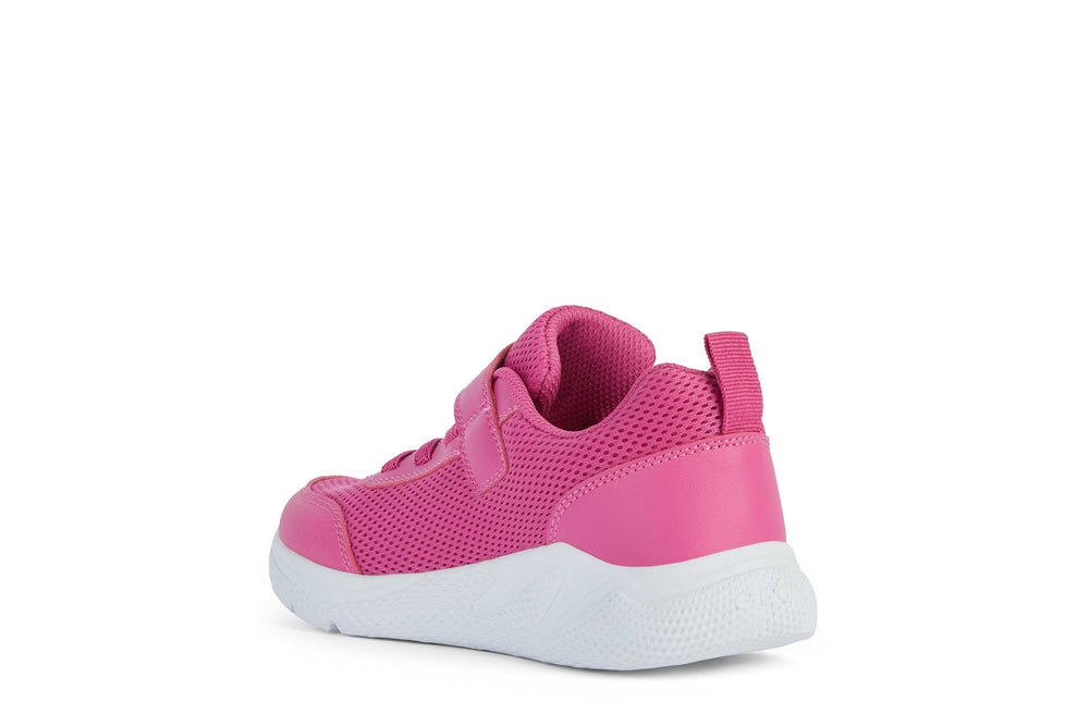 Geox Sprintye Junior - Fuschia - Little Bigheads