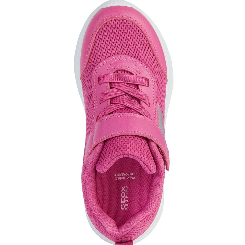 
                  
                    Geox Sprintye Junior - Fuschia - Little Bigheads
                  
                