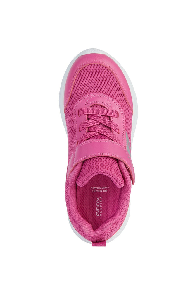 Geox Sprintye Junior - Fuschia - Little Bigheads