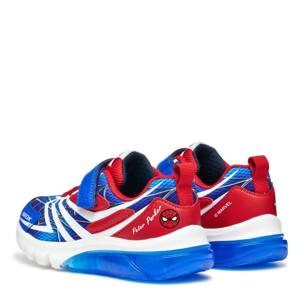 
                  
                    Geox | Ciberdron Boy |Royal Blue/Red - Little Bigheads
                  
                