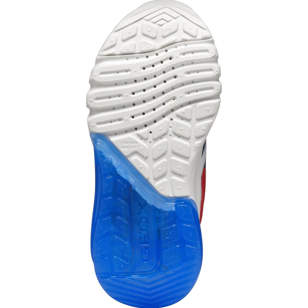 
                  
                    Geox | Ciberdron Boy |Royal Blue/Red - Little Bigheads
                  
                