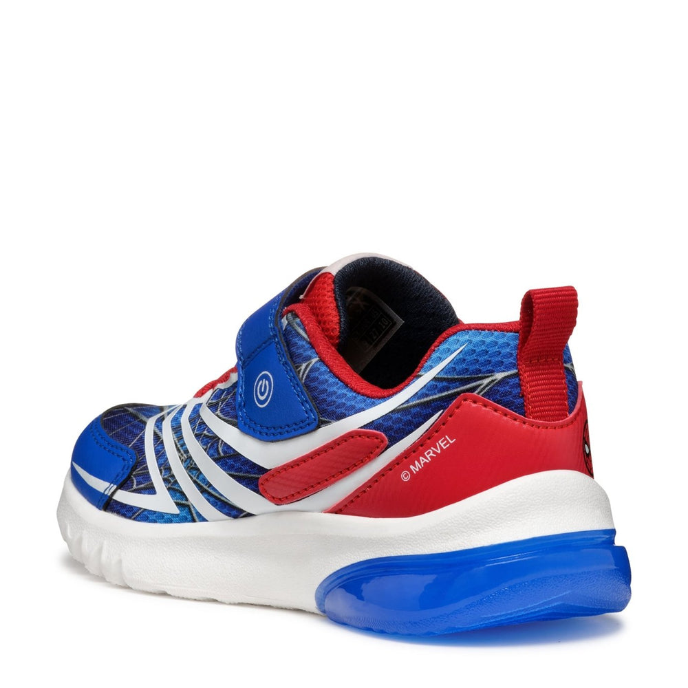 
                  
                    Geox | Ciberdron Boy |Royal Blue/Red - Little Bigheads
                  
                