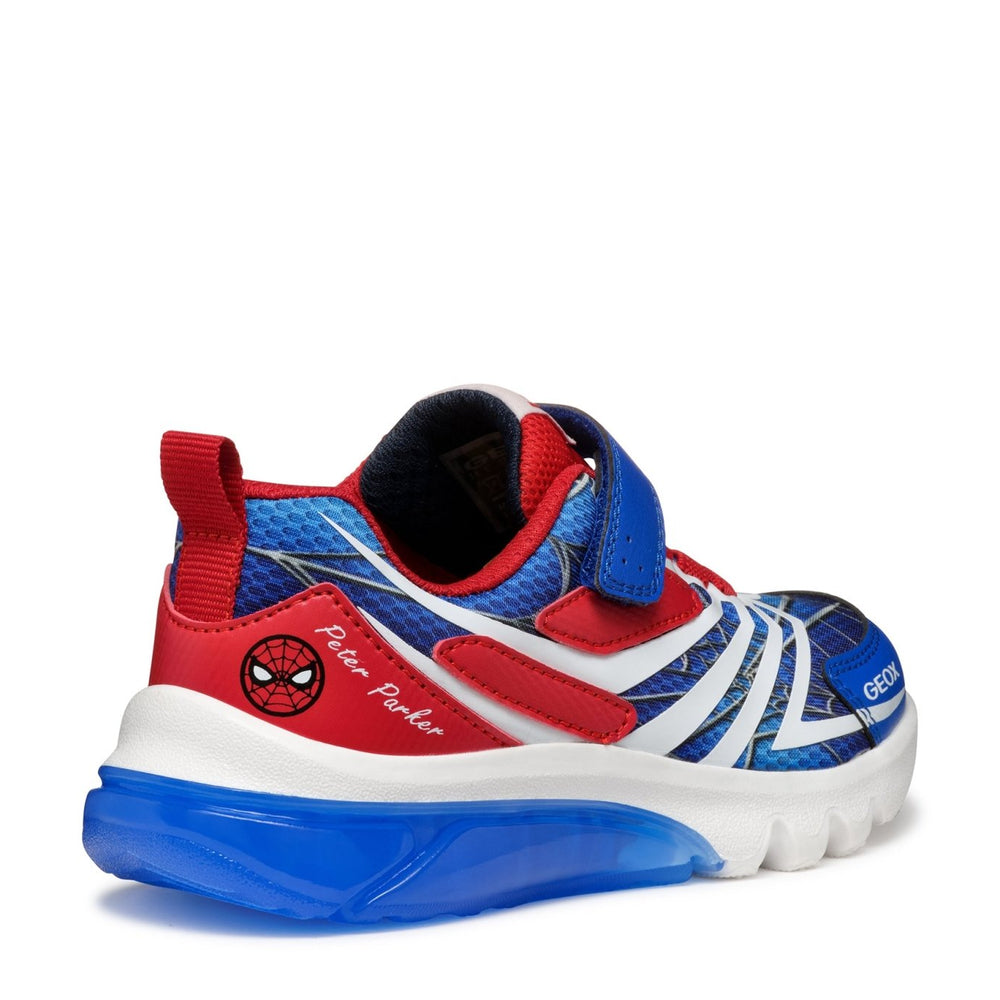 
                  
                    Geox | Ciberdron Boy |Royal Blue/Red - Little Bigheads
                  
                