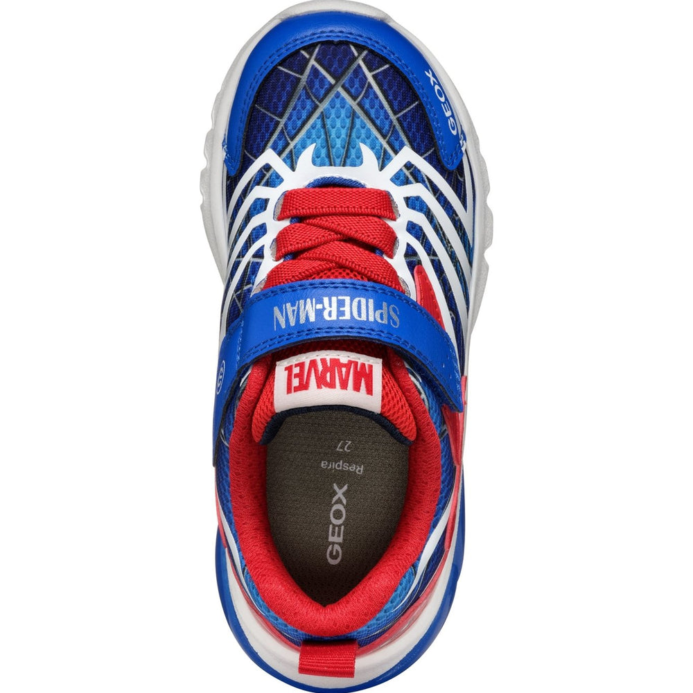 
                  
                    Geox | Ciberdron Boy |Royal Blue/Red - Little Bigheads
                  
                