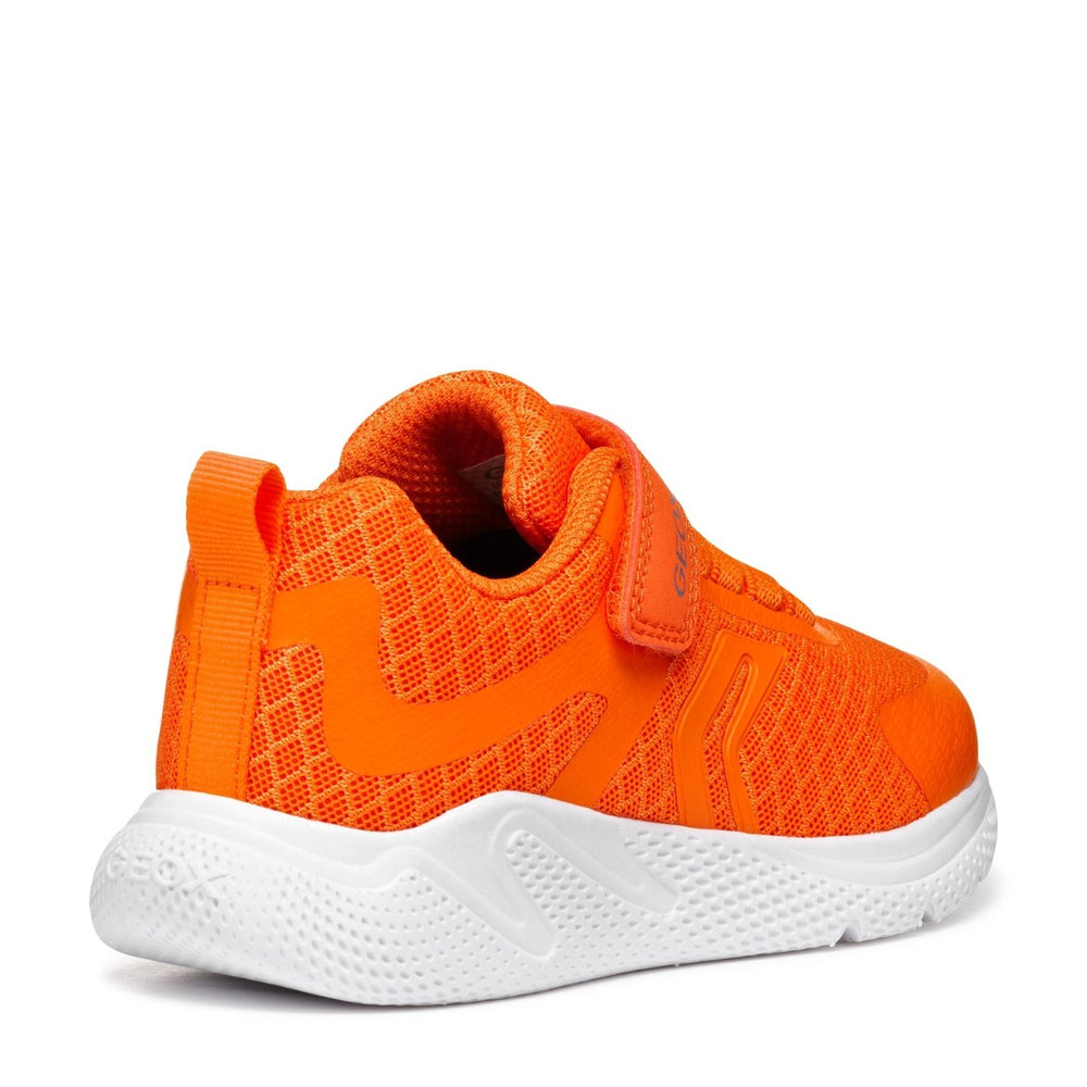 
                  
                    Geox | Sprintye boy | Orange - Little Bigheads
                  
                