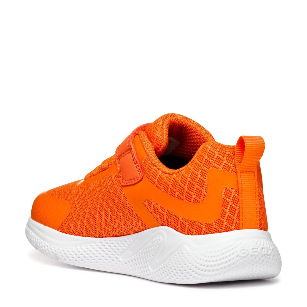 
                  
                    Geox | Sprintye boy | Orange - Little Bigheads
                  
                