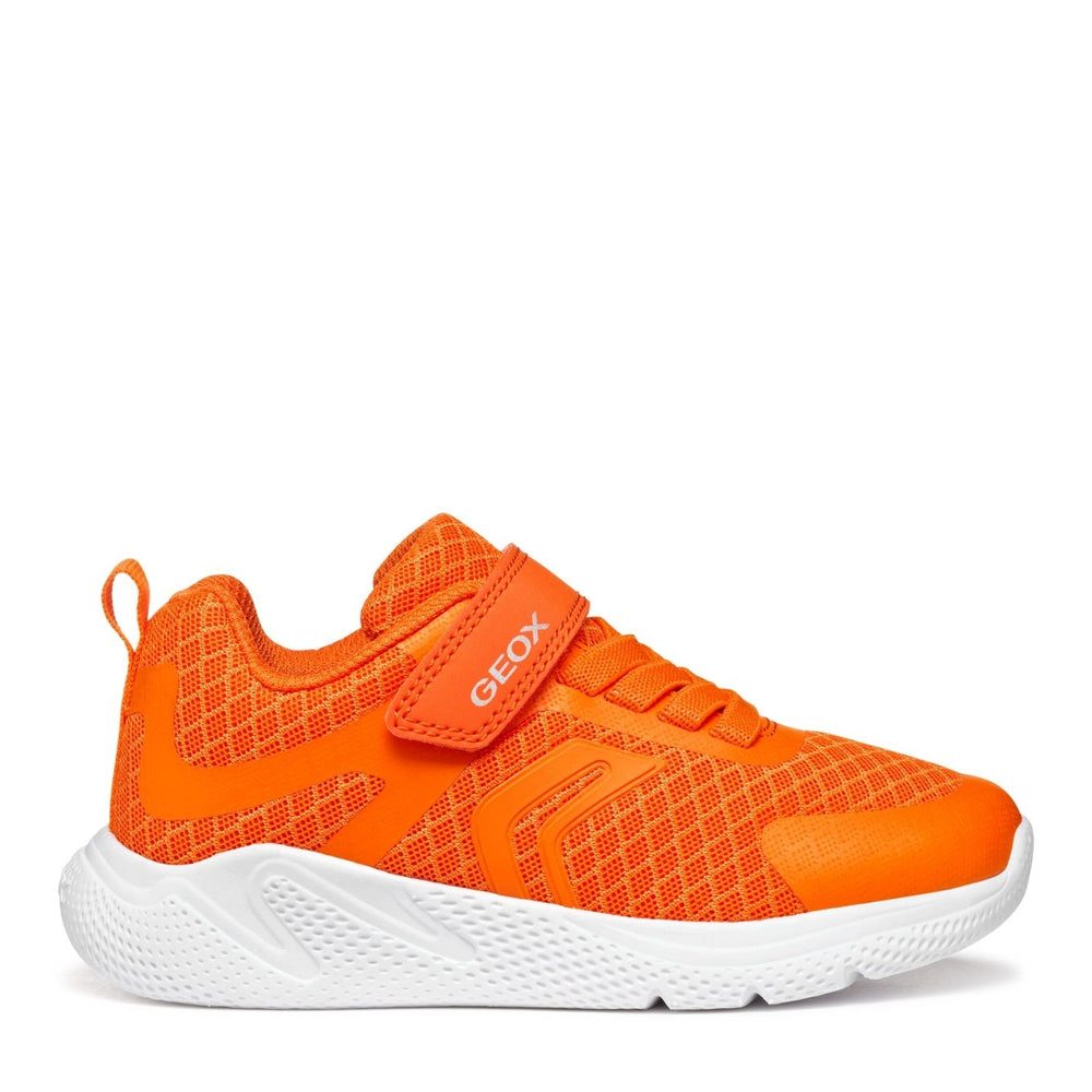 Geox | Sprintye boy | Orange - Little Bigheads