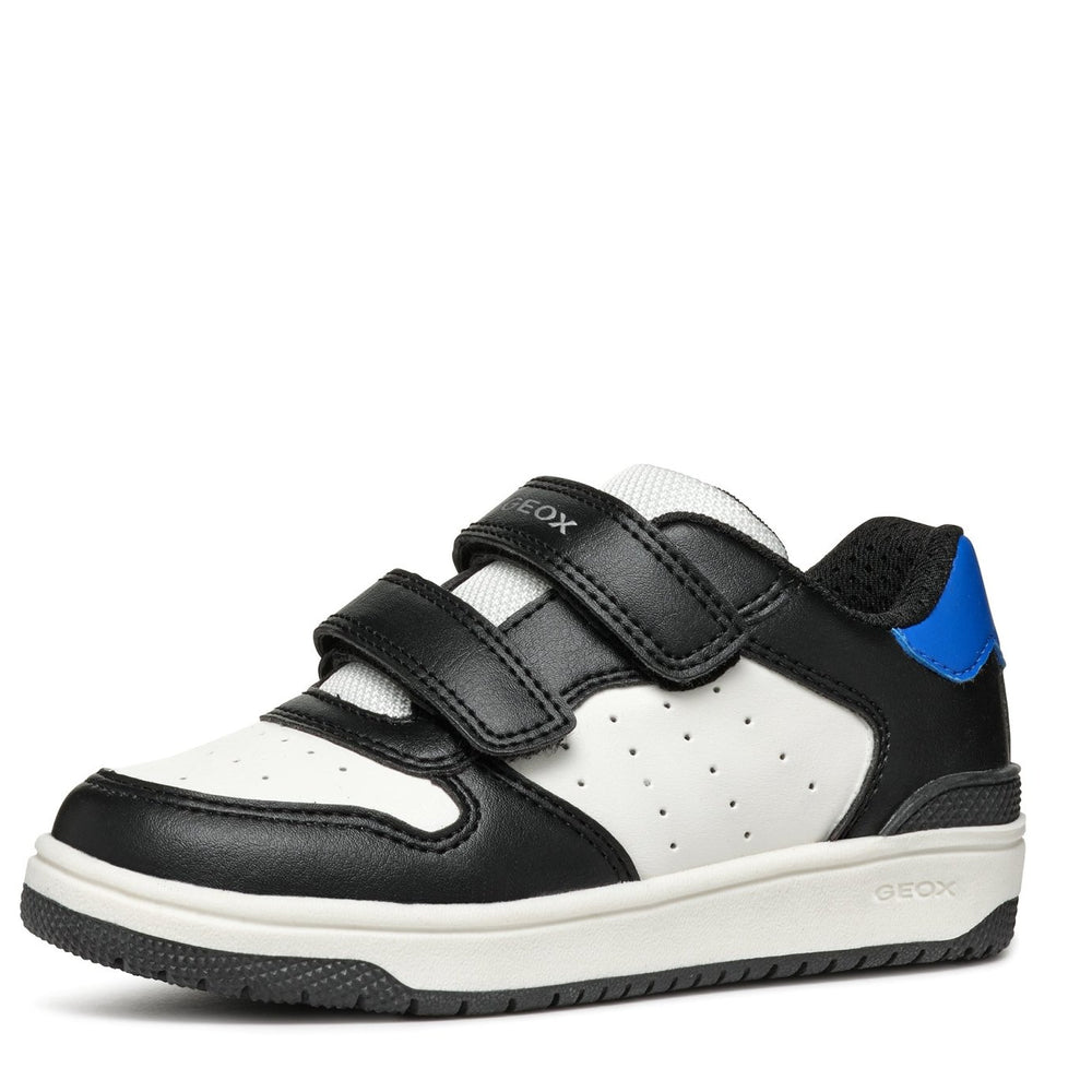 Geox | Washiba Boy | Black/Royal Blue - Little Bigheads