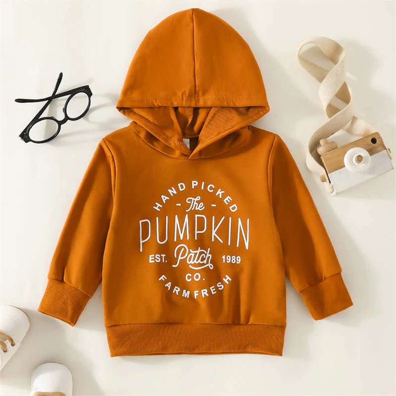 
                  
                    Howkidsss - Pumpkin Patch Hoodie - Little Bigheads
                  
                