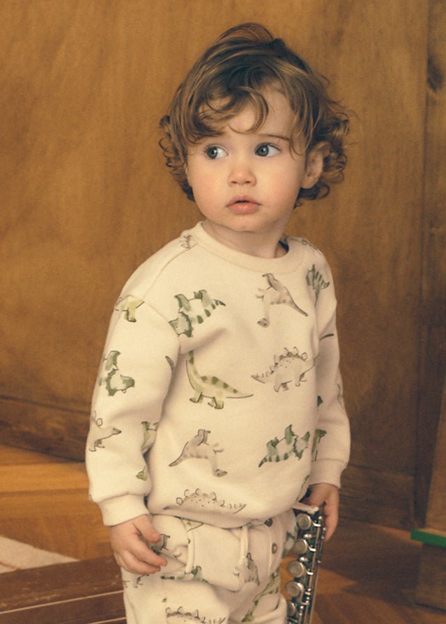 Light Taupe baby boy pullover with playful dinosaur pattern and front pocket.