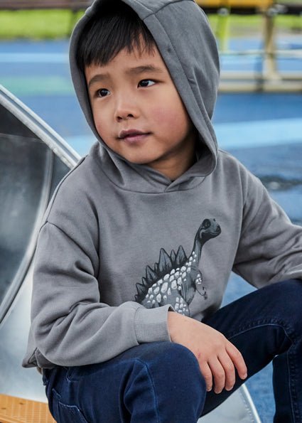 Mayoral | Print Pullover - Little Bigheads