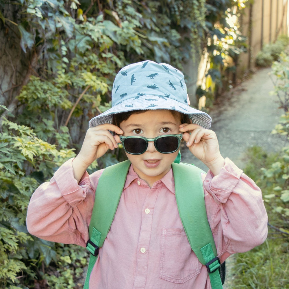 
                  
                    Rockahula - Dinosaur sunglasses - Little Bigheads
                  
                